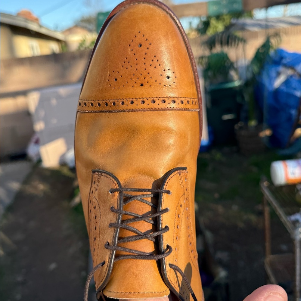 Allen edmonds best American brand made colton size 12 great conditi